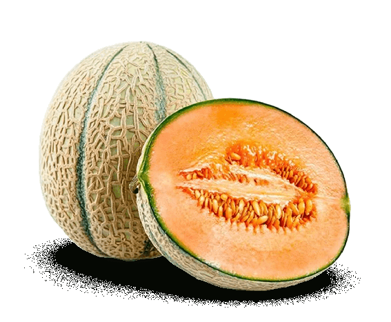 melons