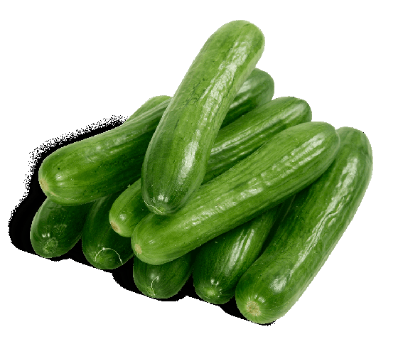 mini cucumbers